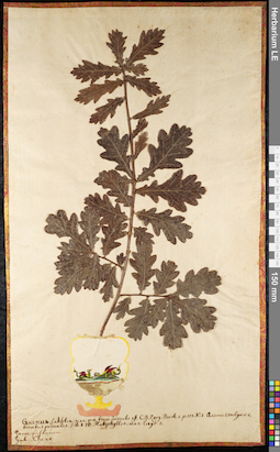 LE 01092254