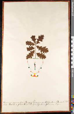 LE 01092255