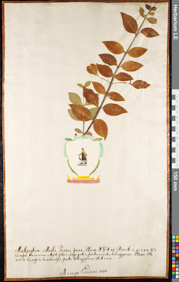 LE 01092258