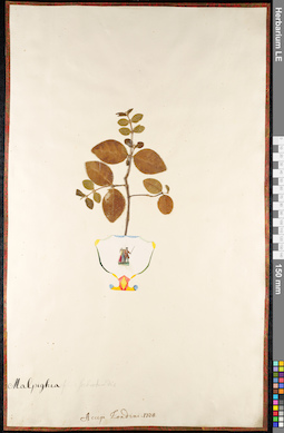 LE 01092259