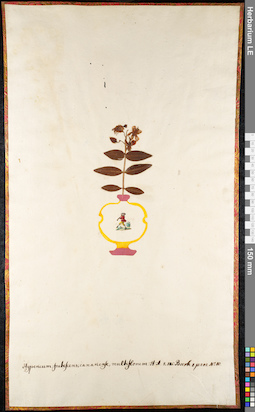LE 01092274