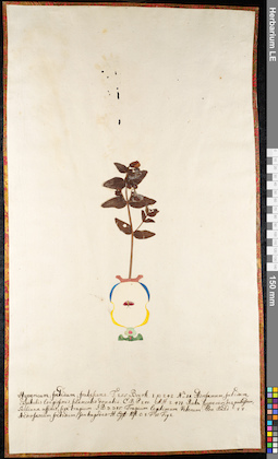 LE 01092275