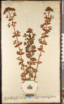 LE 01092276