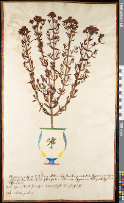 LE 01092277