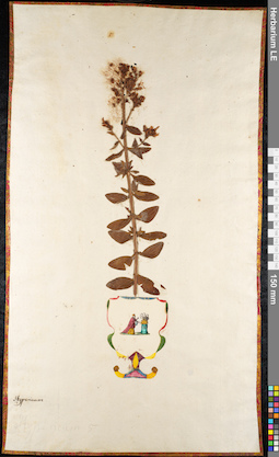 LE 01092278