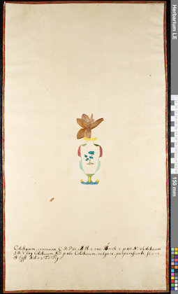 LE 01092289
