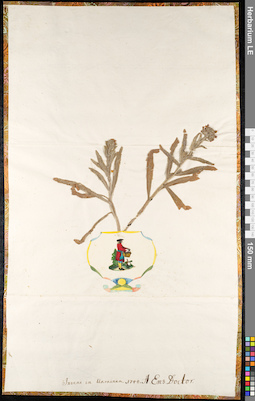 LE 01092292