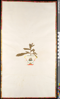 LE 01092293
