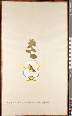 LE 01092295