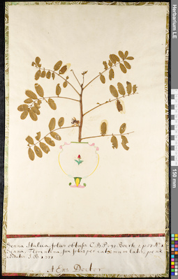 LE 01092301