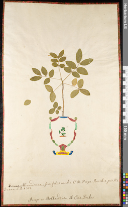 LE 01092302