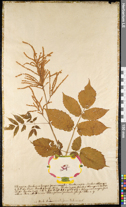 LE 01092303