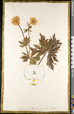 LE 01092305