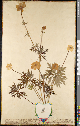 LE 01092306