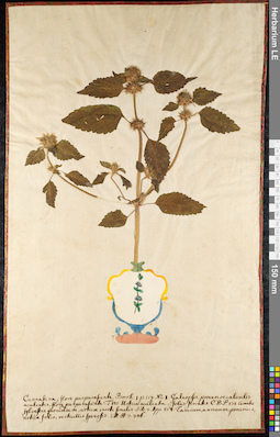 LE 01092308