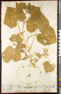 LE 01092310