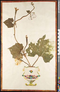 LE 01092312