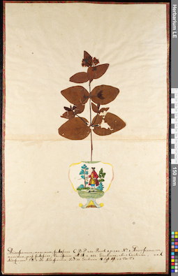 LE 01092325