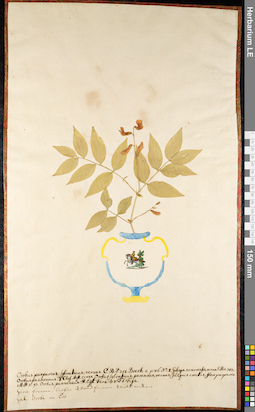 LE 01092335