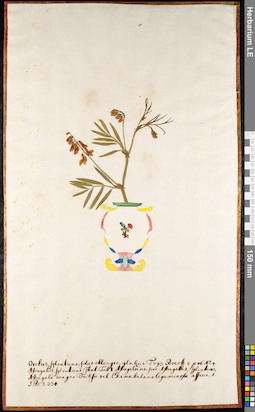 LE 01092337