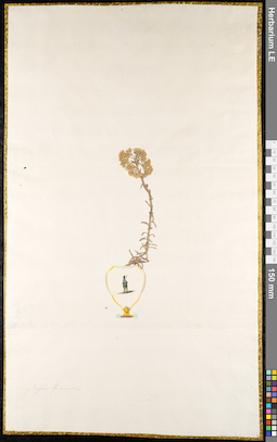 LE 01092341