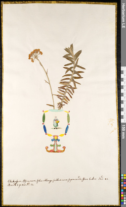 LE 01092345