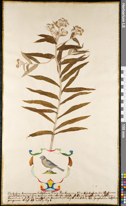 LE 01092350