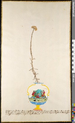 LE 01092351