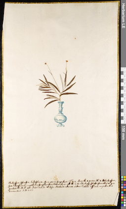 LE 01092353