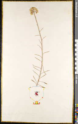 LE 01092354
