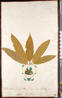 LE 01092368