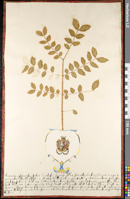 LE 01092377