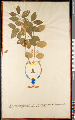 LE 01092382