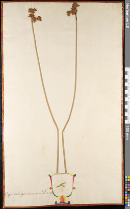 LE 01092386
