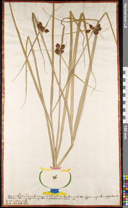 LE 01092388