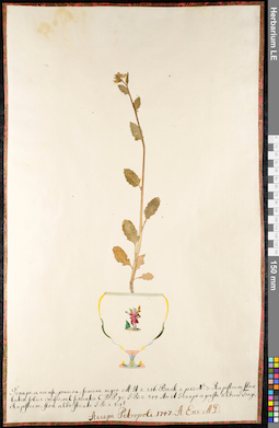 LE 01092389