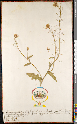 LE 01092390