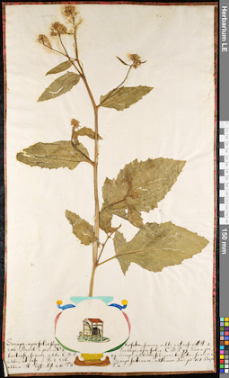 LE 01092392
