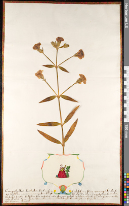 LE 01092395