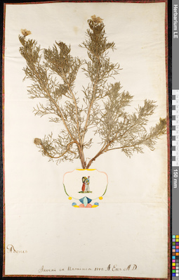 LE 01092403