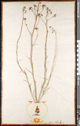 LE 01092409