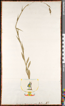 LE 01092415