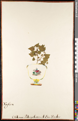 LE 01092417