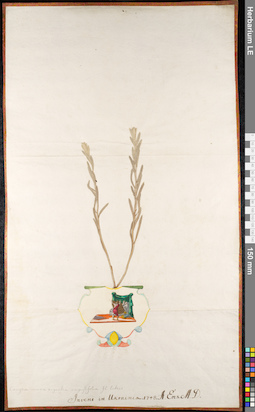 LE 01092418
