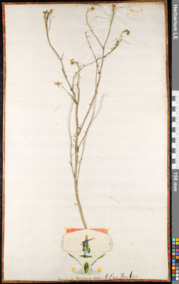 LE 01092419