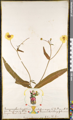 LE 01092424
