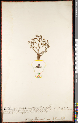 LE 01092425
