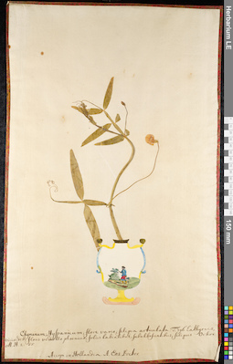 LE 01092430