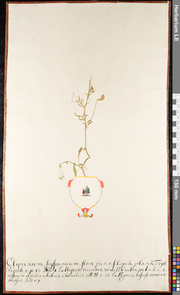 LE 01092431
