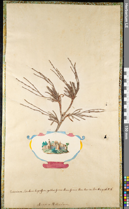 LE 01092445